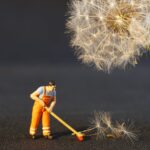 pexels pixabay 434163 The Complete Guide to End of Lease Cleaning in Perth: Tips for a Hassle-Free Move 13