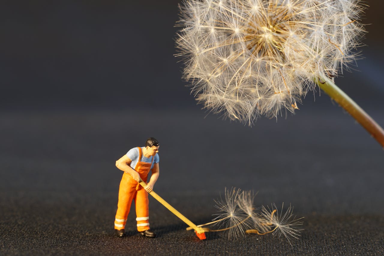 pexels pixabay 434163 The Complete Guide to End of Lease Cleaning in Perth: Tips for a Hassle-Free Move 2 pexels pixabay 434163 The Complete Guide to End of Lease Cleaning in Perth: Tips for a Hassle-Free Move 1